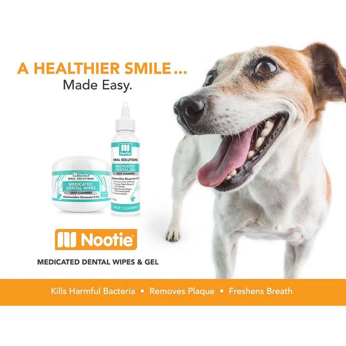 Dog next to Antimicrobial Dental Gel