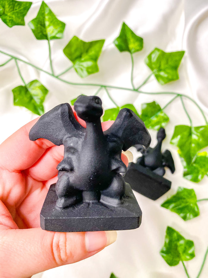 Black Obsidian Charizard Pokemon