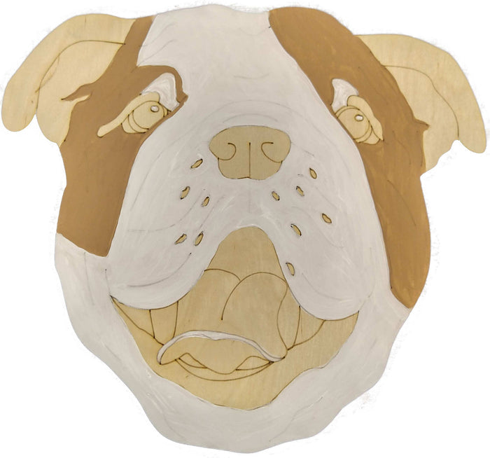 English Bulldog