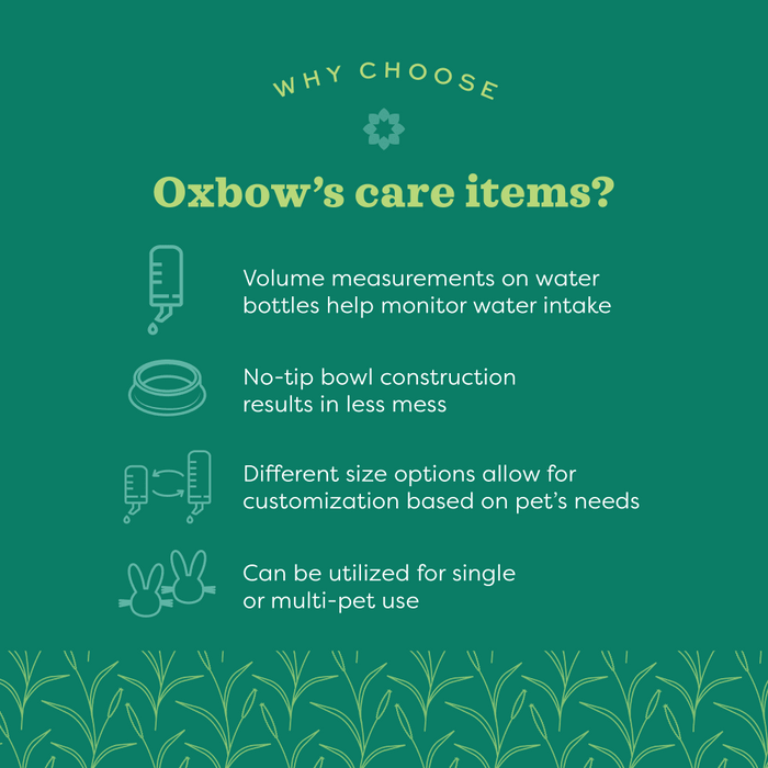 Can be utilized for single or multi pet use.