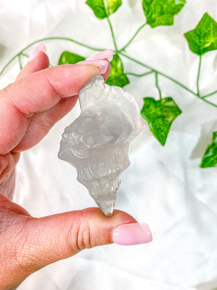 Fluorite Conch Shell