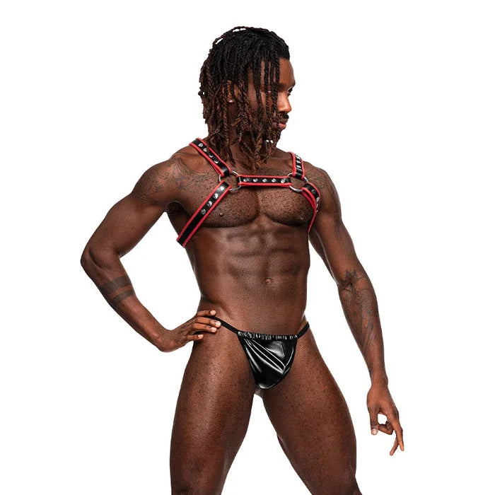 Leo Leather Harness Black/red O/s Intimates Adult Boutique