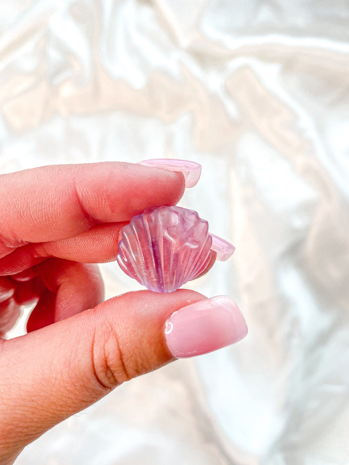 Mini Fluorite Sea Shell