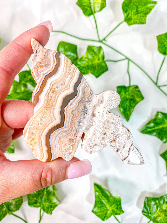 Pink Crazy Lace Agate Fairy
