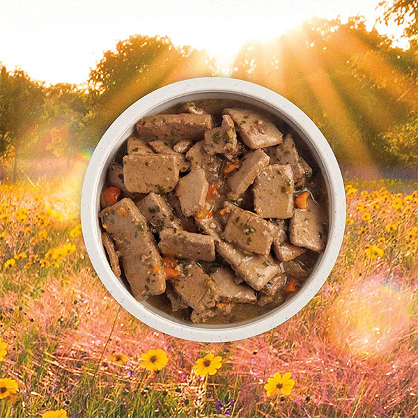 Premium Chunks Beef in Bone Broth Canned Food for Dogs 12.8oz