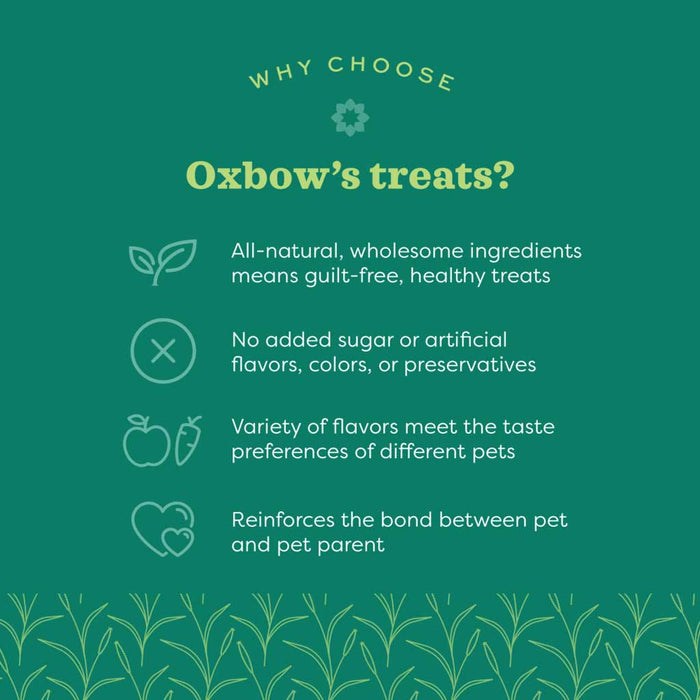 Simple Rewards Freeze-dried Strawberry Treats