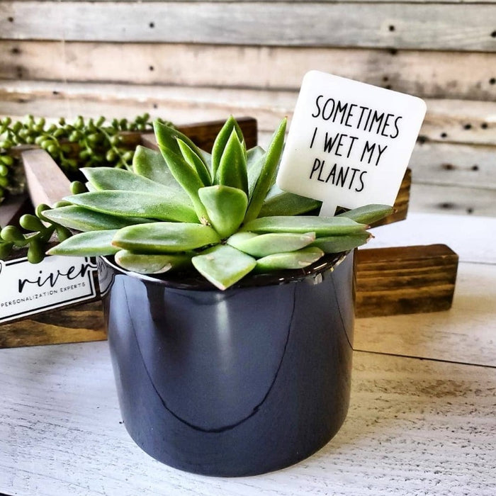 Snarky Plant Marker Stake - Sometimes I Wet my Plants - Mad River
