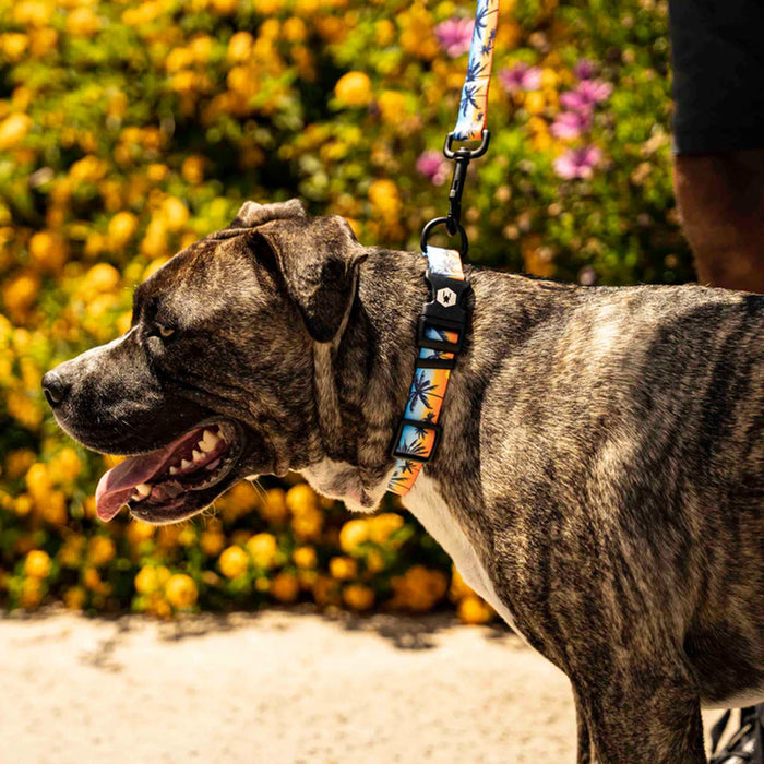 SunsetPalms Dog Collar
