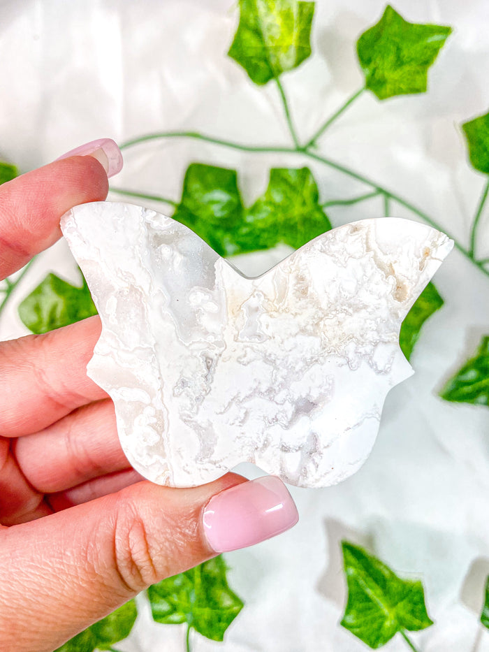 White Druzy Snow Plum Agate Butterfly