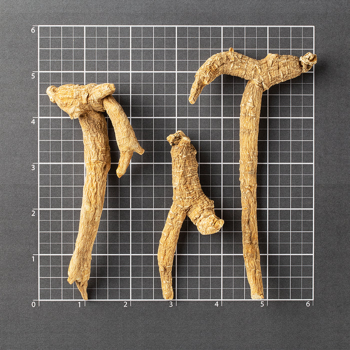 American Ginseng Prong-M #860