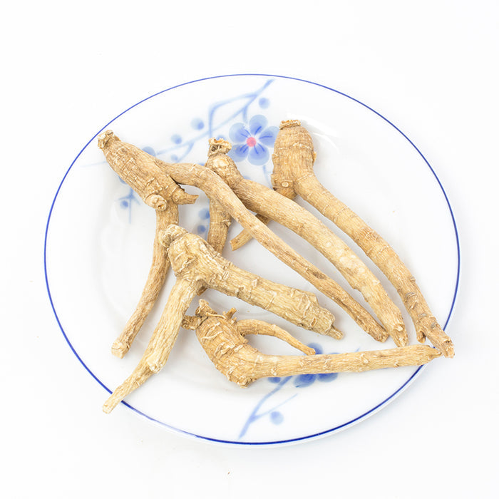 American Ginseng Prong-XL #888
