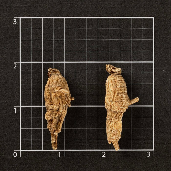 American Ginseng Short-L #861