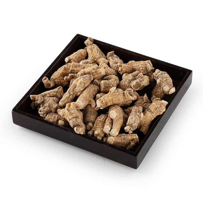 American Ginseng Short-XL #886