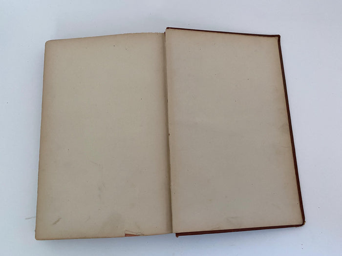 Antique Book, Baltimore The Monumental City, 1873