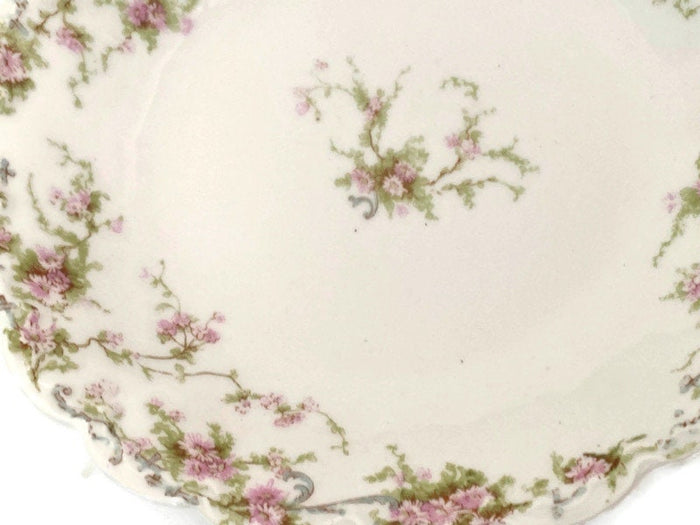 Antique French Limoges Bowl, Theodore Haviland 1903 Mark at Duckwells