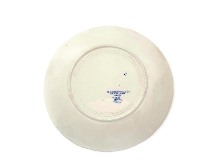 Antique Minnesota Souvenir Plate at Duckwells