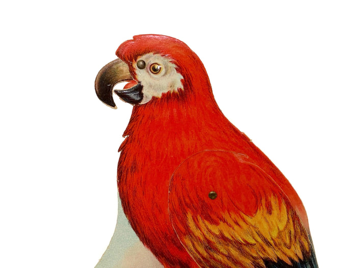 Antique Valentine's Day Card, Mechanical Die Cut Parrot at Duckwells