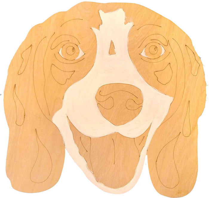 Beagle