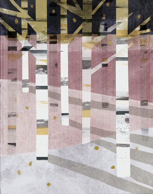 Birch Grove at Solstice