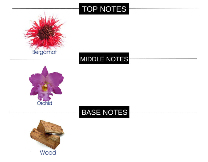 BITTER BERGAMOT COMPARE TO TEASE PLEASE FRAGRANCE BODY SPRAY - Ceed Fragrances