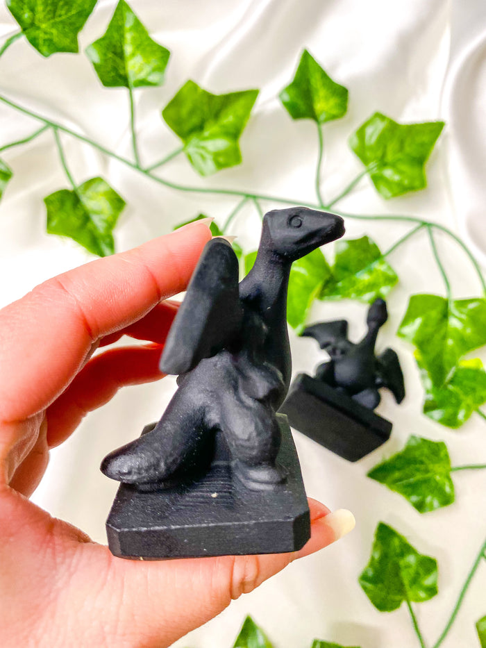 Black Obsidian Charizard Pokemon