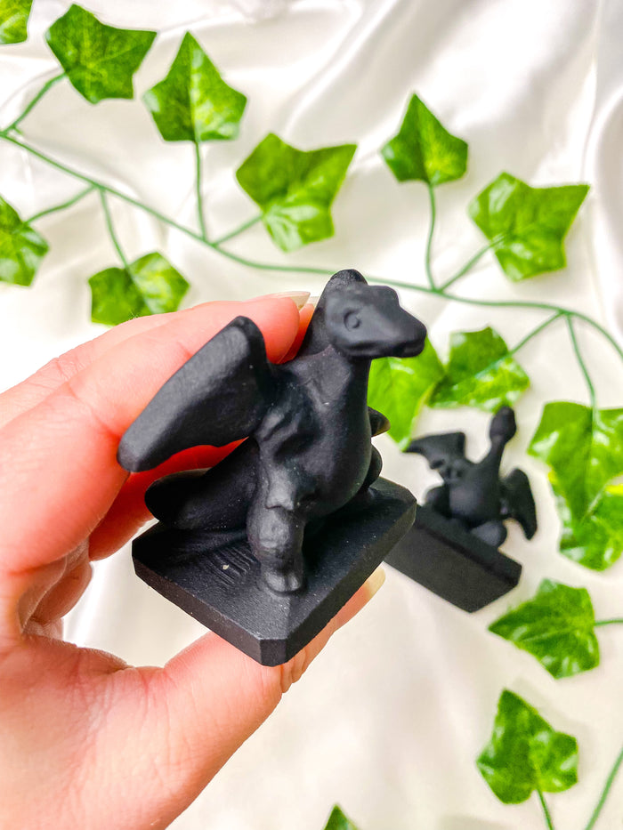 Black Obsidian Charizard Pokemon
