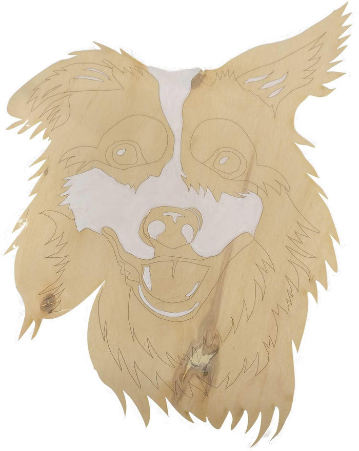 Border Collie