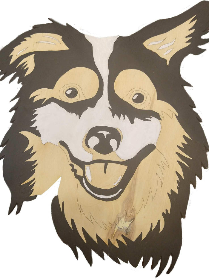 Border Collie