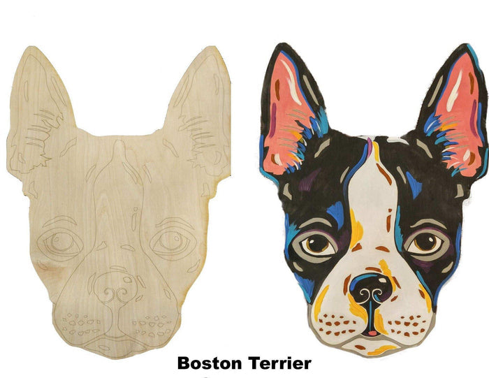 Boston Terrier