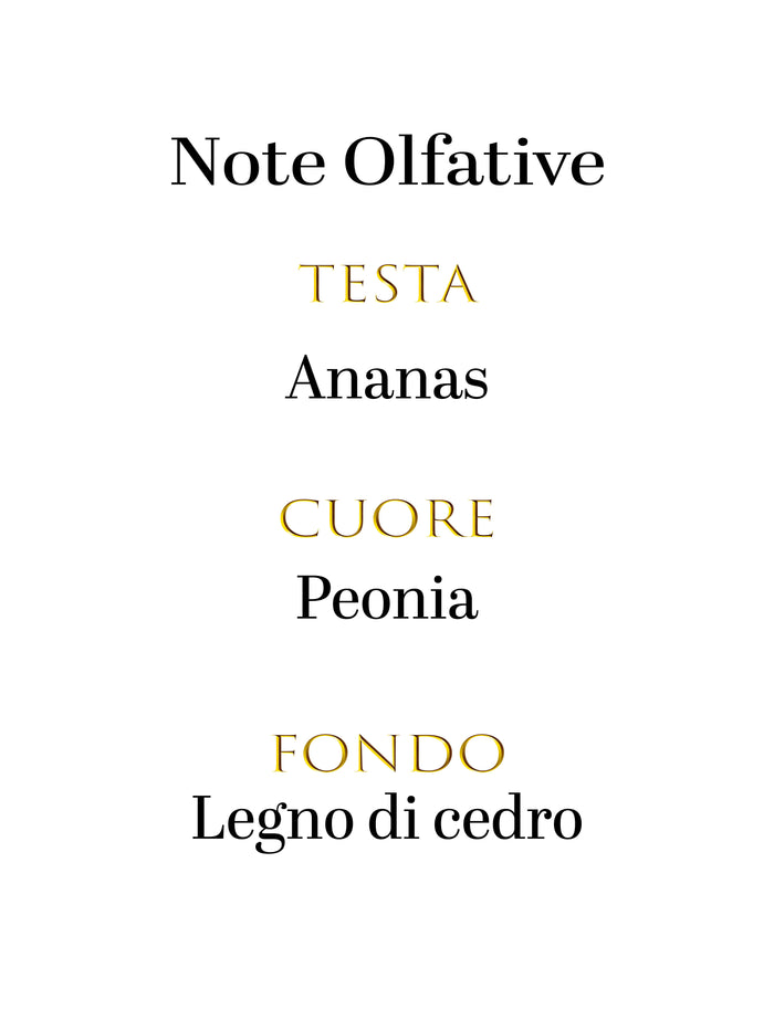 Chloé Chloé