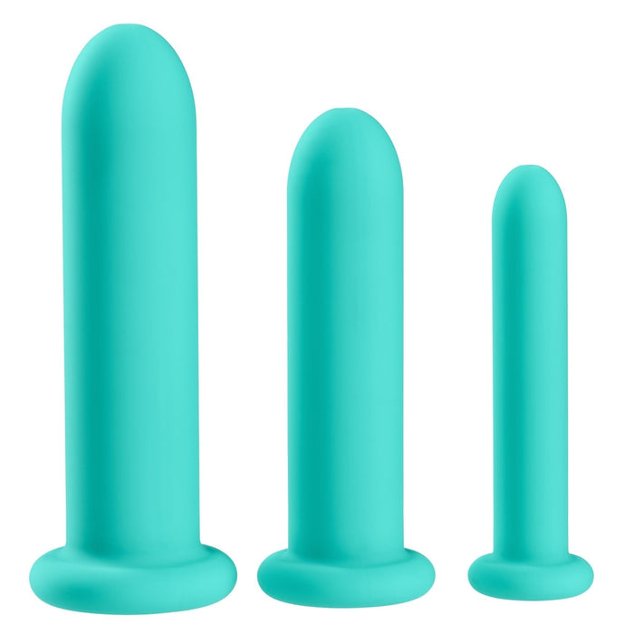 Cloud 9 Health & Wellness Silicone Dilator Kit  for Vaginal/Anal Use  Intimates Adult Boutique