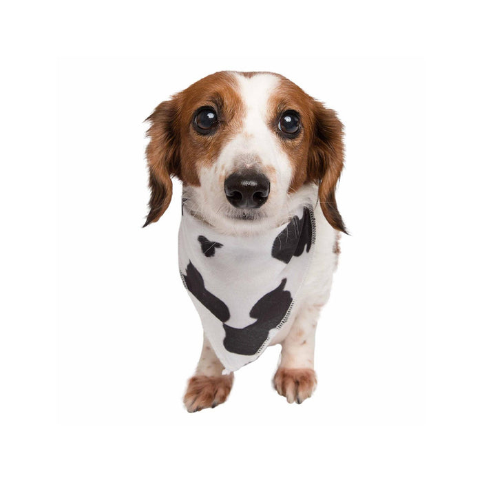 Dog wearing Cow Print Pet Bandana