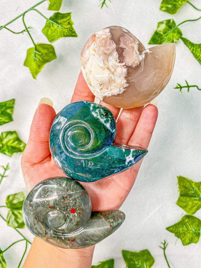 Crystal Ammonite Shell Carving