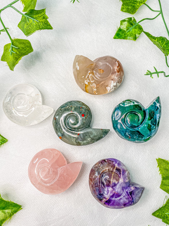 Crystal Ammonite Shell Carving