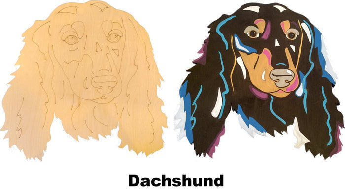 Dachshund