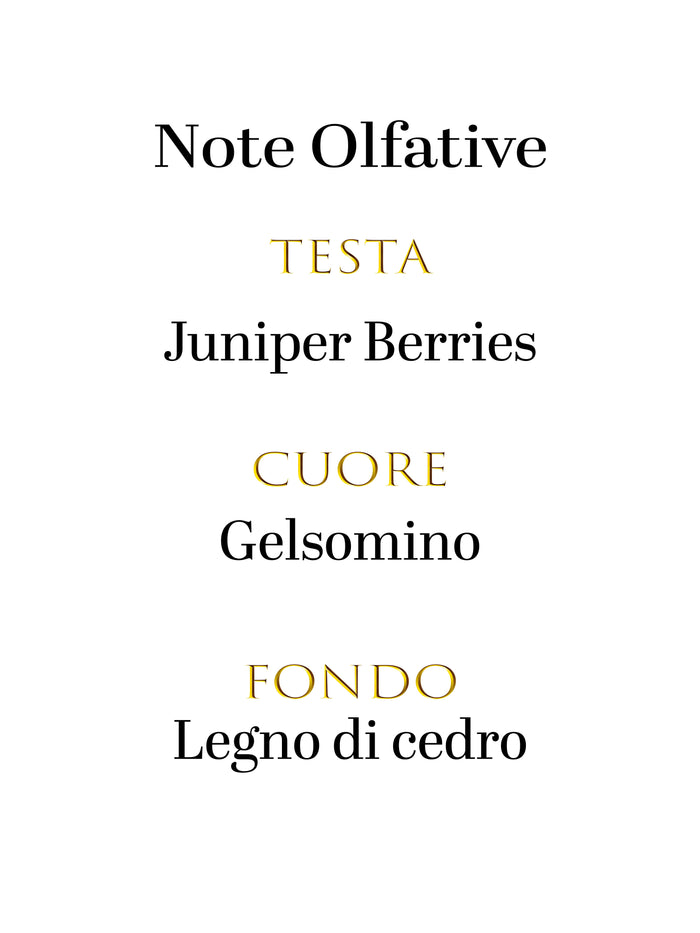 Dolce & Gabbana K