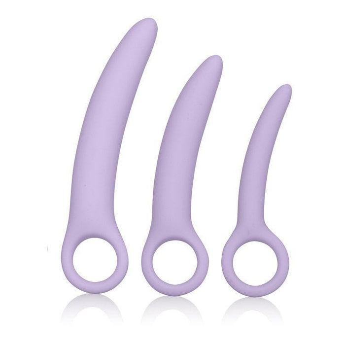 Shop Dr. Laura Berman Alena Silicone Dilators Set | Sextoys for Women  Intimates Adult Boutique