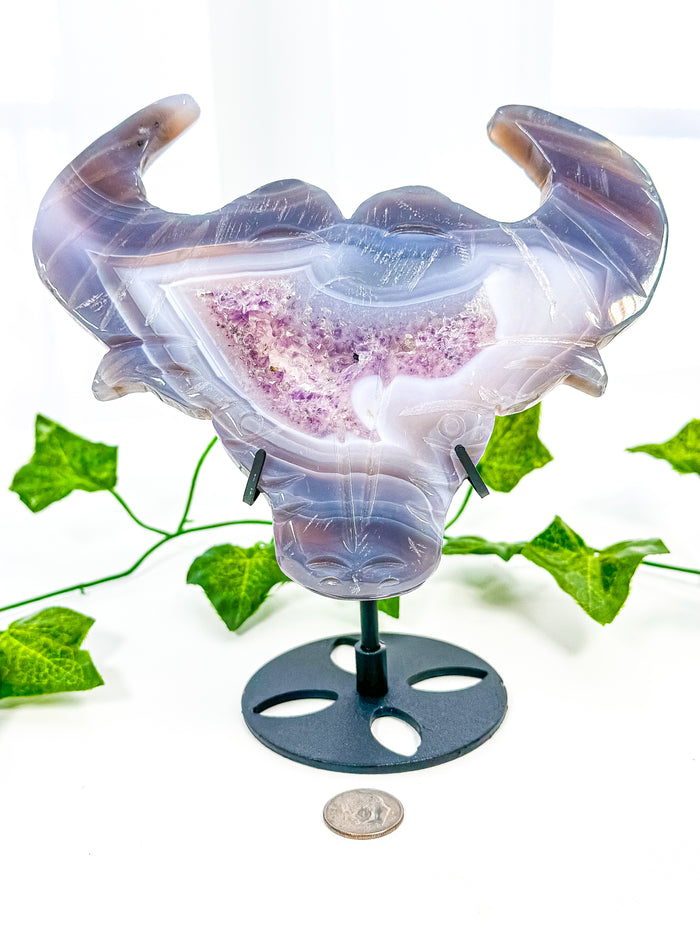 Druzy Amethyst Agate Bull on Stand (55D)