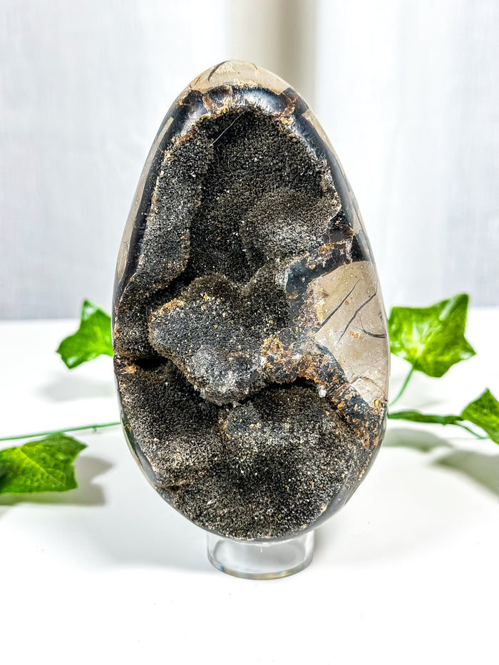 Druzy Septarian Geode Egg (70A)