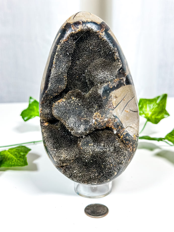 Druzy Septarian Geode Egg (70A)
