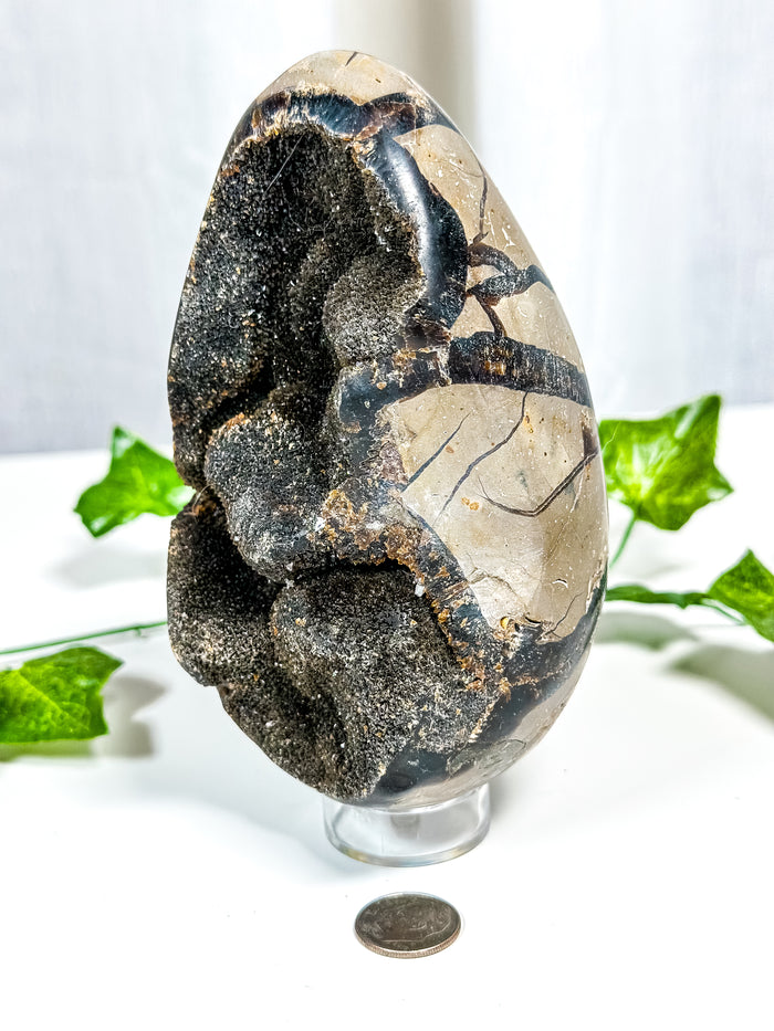 Druzy Septarian Geode Egg (70A)
