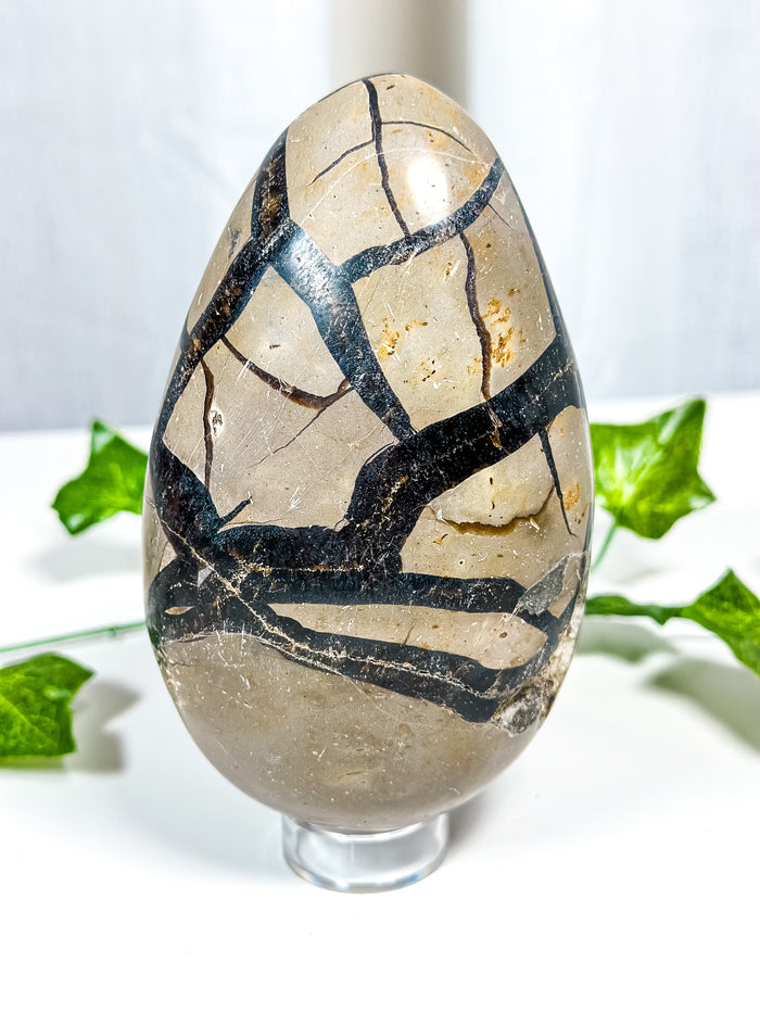 Druzy Septarian Geode Egg (70A)