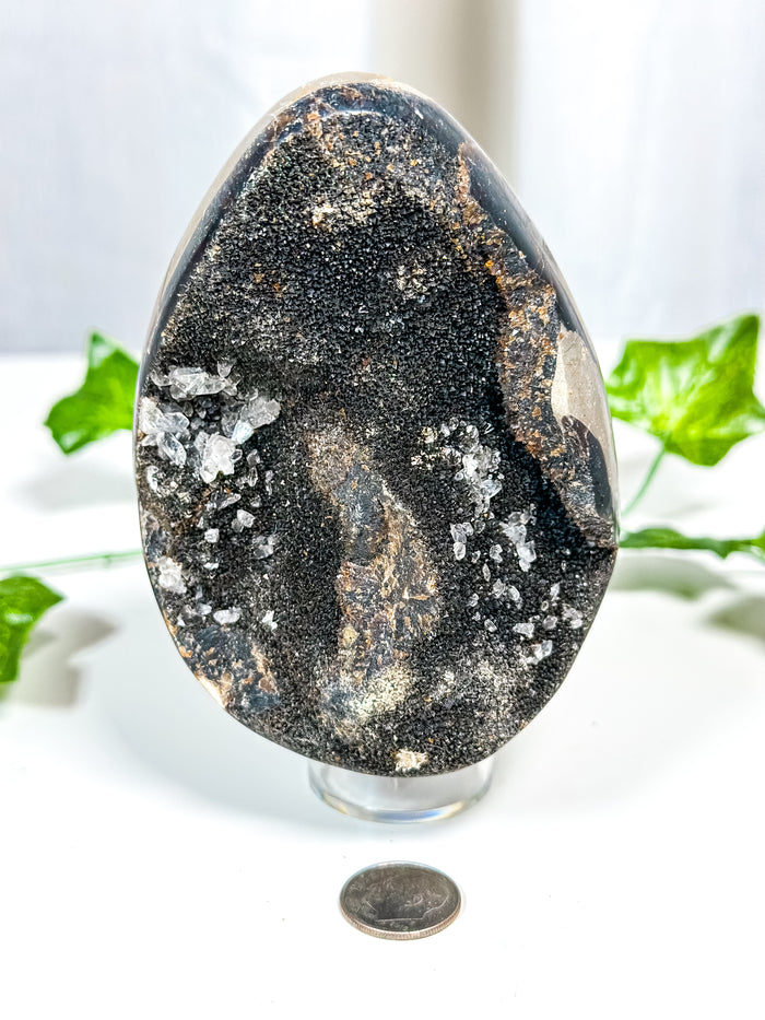 Druzy Septarian Geode Egg w/ Calcite (65A)