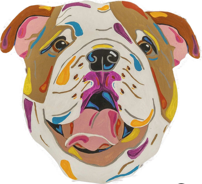 English Bulldog