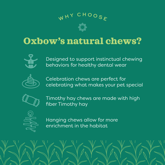 Oxbow natural chews support instinctual chewing behaviors for healthy dental wear. Made with high fiber Timothy hay. Hanging chews allow for enrichment in the habitat.