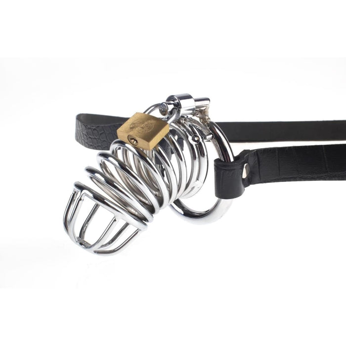 Fetish Fantasy Extreme Chastity Belt Intimates Adult Boutique