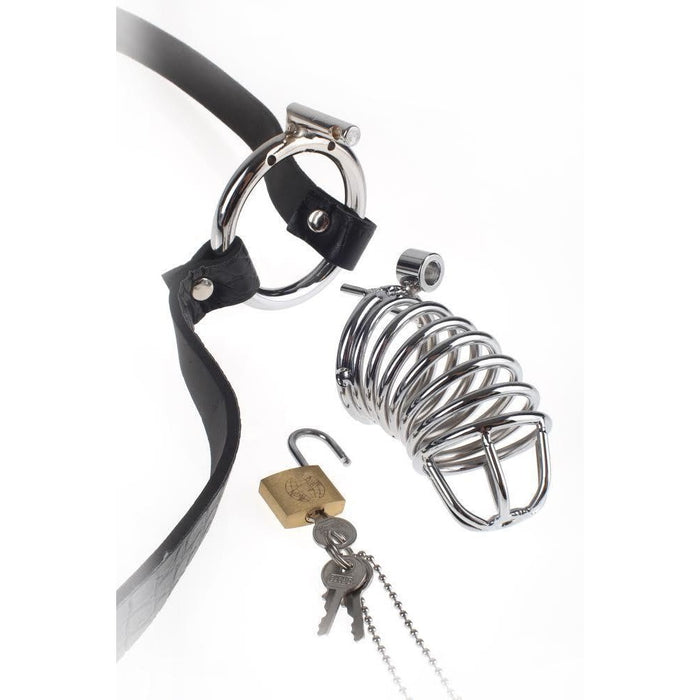 Fetish Fantasy Extreme Chastity Belt Intimates Adult Boutique