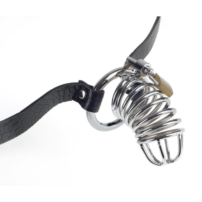 Fetish Fantasy Extreme Chastity Belt Intimates Adult Boutique