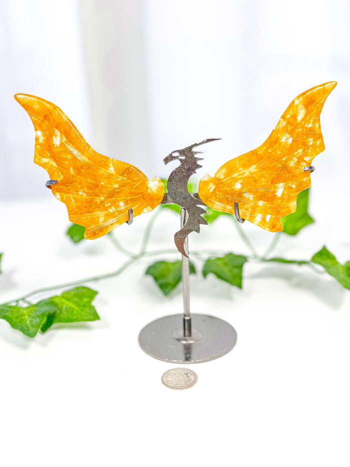 Golden Healer Dragon Wings on Stand (40C)