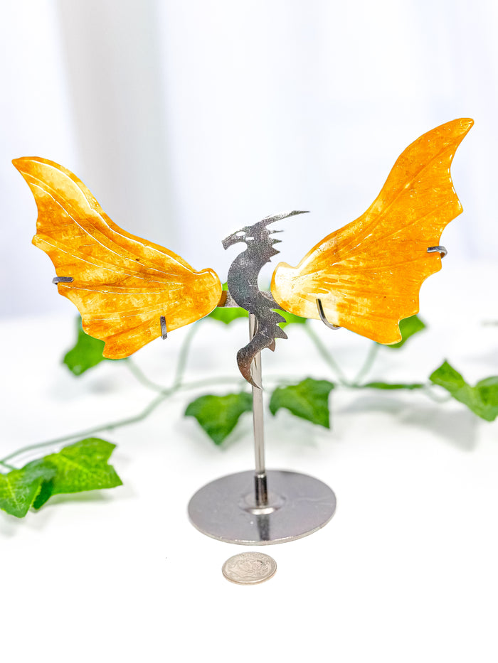 Golden Healer Dragon Wings on Stand (40F)